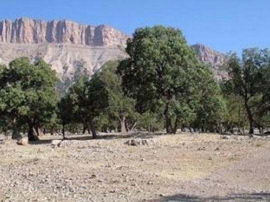 Un séisme de forte magnitude, 6.1, frappe le Sud-Est de l'Iran, le 27 Janvier 2011