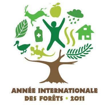 1,6 milliard de personnes menacées par la dégradation des forêts mondiales