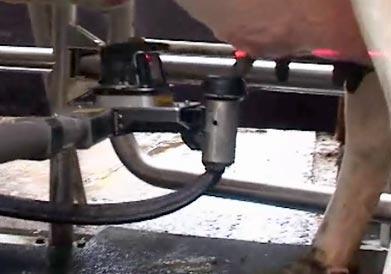 J’prend mon robot pour tirer ma vache robot traite vache