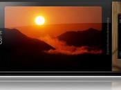 projet mobile made nature