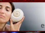 Produits chimiques utilisés construction programme Walrip (Wallonie)