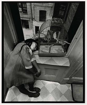 Bruce Davidson.