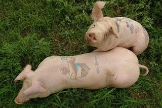 Je ne sais pas trop quoi en penser et vous ?