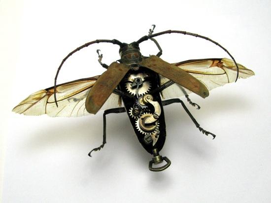 L'entomologie imaginaire d'Insect Lab - 4