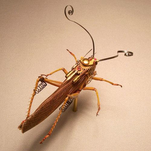 L'entomologie imaginaire d'Insect Lab - 11