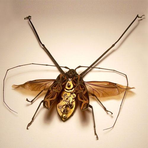 L'entomologie imaginaire d'Insect Lab - 12
