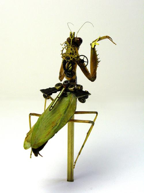L'entomologie imaginaire d'Insect Lab - 9