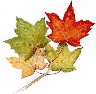 Jeu idiot de janvier 2011 (indice n°12)