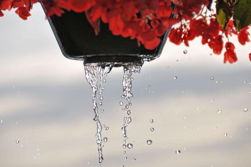 Si un jour  l’infini te semble trop étroit (Bernard Montini)