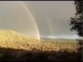 VocaWeb #2 :  « Double rainbows ou comment jouir sur un arc-en-ciel »