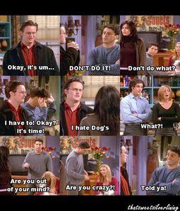 tumblr_l5toolHWtZ1qaz6o8