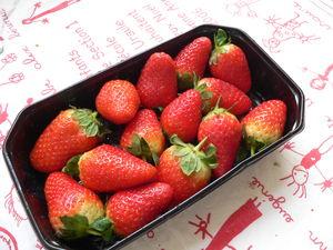 premi_res_fraises_de_l_ann_e