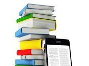 Sorties Eclipse janvier 2011