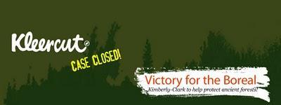 Protection de la forêt : Kimberly Clark se laisse apprivoiser par Greenpeace