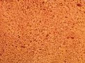 Brioche pyrénéenne