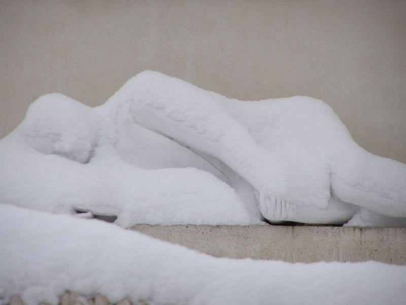 Il remue à peine dans le froid (Bernard Montini)