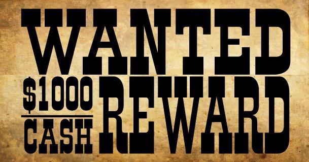 Une prime de 250 euros pour chaque coopté !