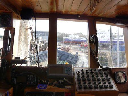 les préparatifs du nymphea