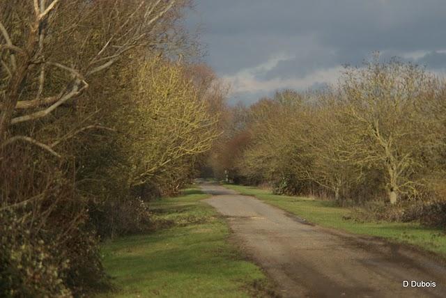 Photos du Marais Audubon.