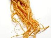 Ginseng bienfaits