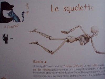 Humanimal, notre zoo intérieur