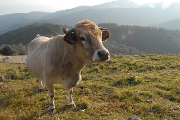Soyez Créatifs… soyez vous-mêmes !