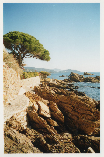 Le chemin des douaniers Life Bloggin’#13 {un petit coin de paradis…}