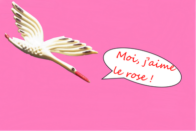 La cigogne aime le rose