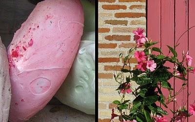 La cigogne aime le rose