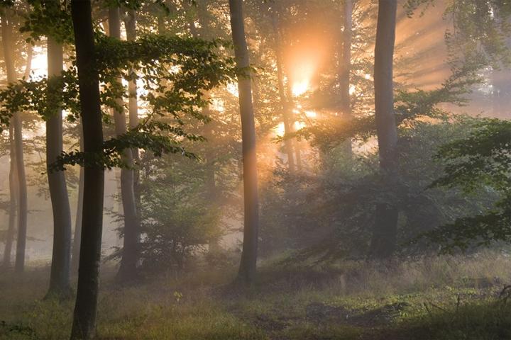 Le réveil sonne… première humiliation de la journée !