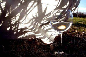 Vernissage Lou Chaussalet – L’Oenolimit