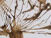 Atelier mains arts plastiques