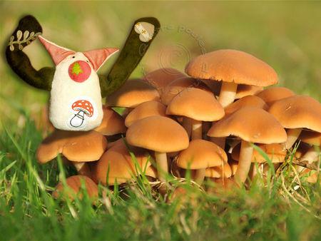 Doudoufoutatoo_champignon6