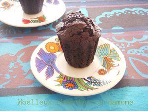 Moelleux_chocolat_cardamome