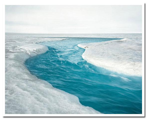 Toute l'émotion d'un cliché polaire