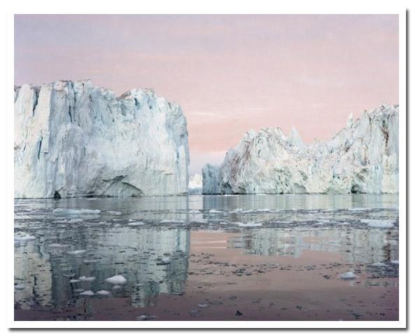 Toute l'émotion d'un cliché polaire