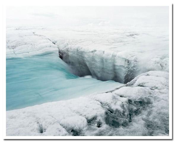 Toute l'émotion d'un cliché polaire