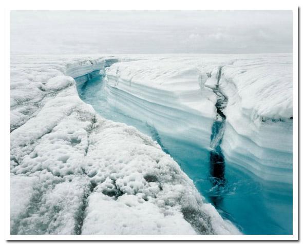 Toute l'émotion d'un cliché polaire