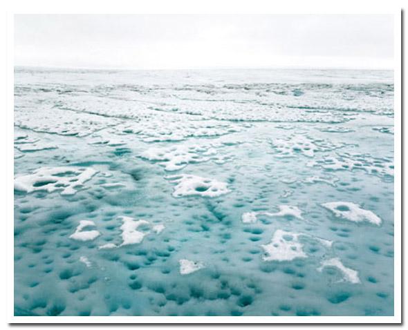 Toute l'émotion d'un cliché polaire