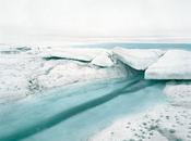 Toute l'émotion d'un cliché polaire