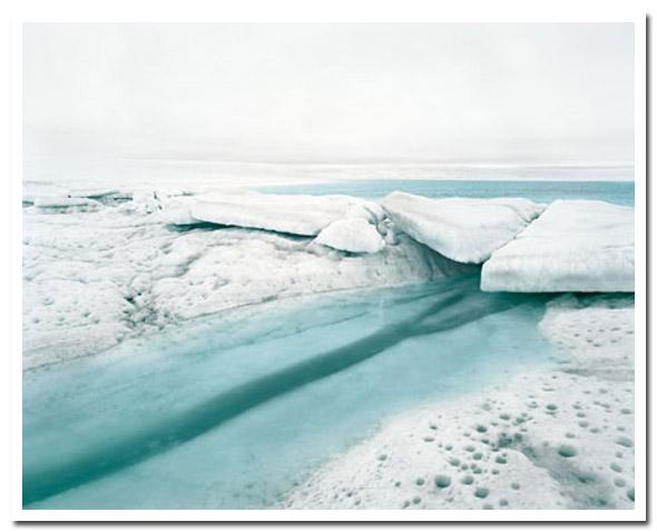 Toute l'émotion d'un cliché polaire