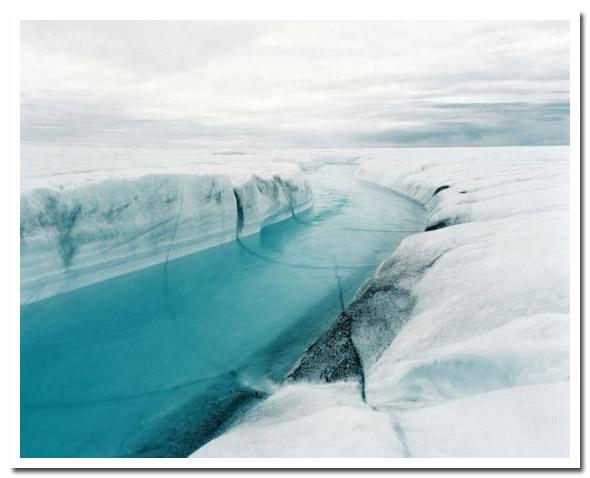 Toute l'émotion d'un cliché polaire