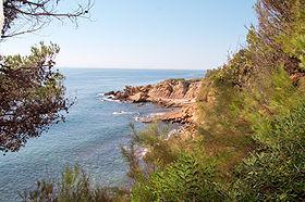 Sortie en famille: Les oursinades Littoral de Carry-le-Rouet.
