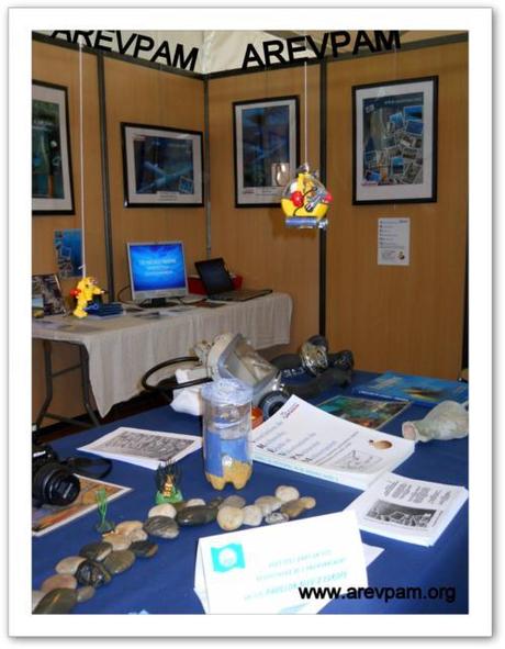 Exposition MANIFESTATION