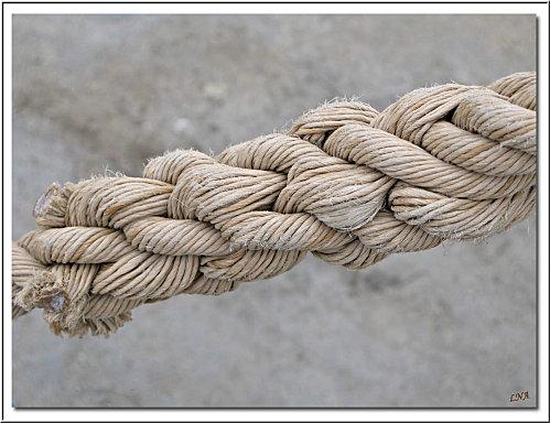 cordage 2