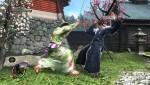 Image attachée : La totale pour Way of the Samurai 4