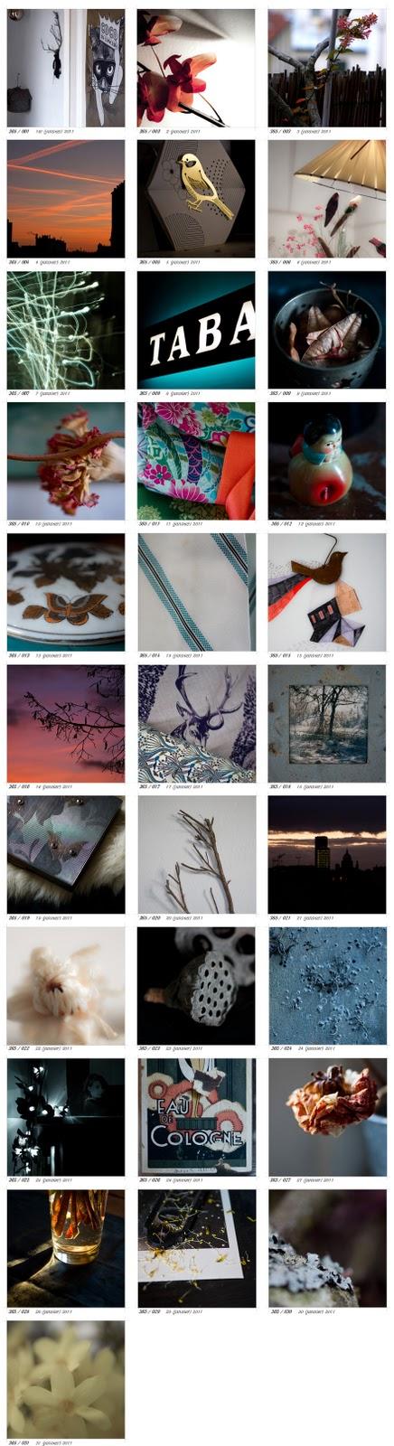 Projet 365 : janvier