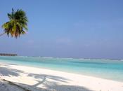 retour paradis (part.