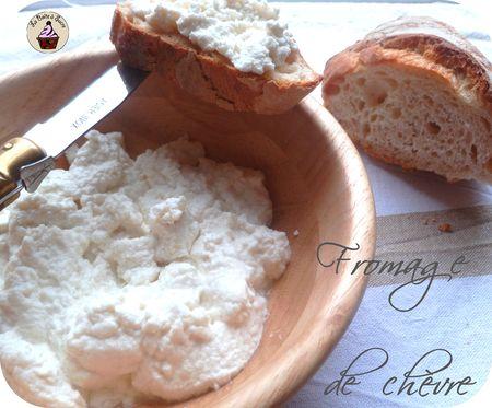 cottage_cheese_3