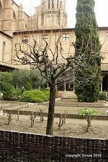 TOULOUSE LA VILLE ET SON MUSEE!